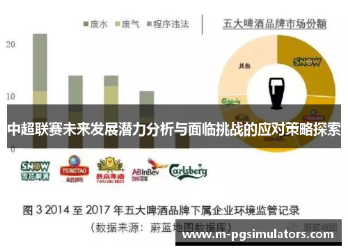 中超联赛未来发展潜力分析与面临挑战的应对策略探索