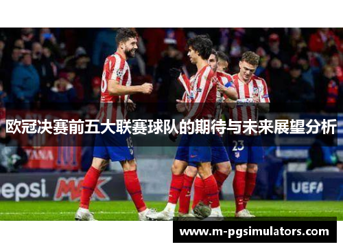 欧冠决赛前五大联赛球队的期待与未来展望分析