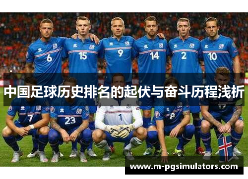 中国足球历史排名的起伏与奋斗历程浅析