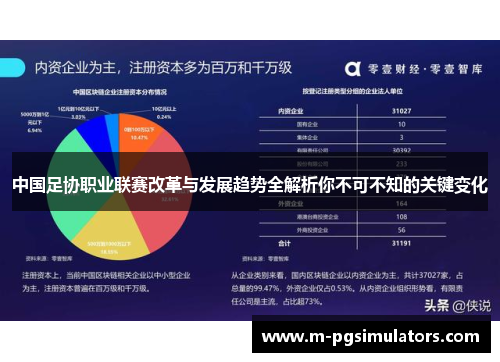 中国足协职业联赛改革与发展趋势全解析你不可不知的关键变化