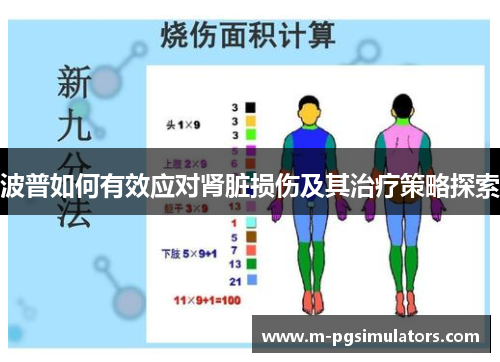 波普如何有效应对肾脏损伤及其治疗策略探索