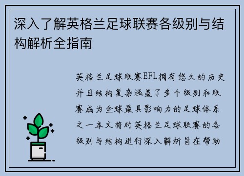 深入了解英格兰足球联赛各级别与结构解析全指南