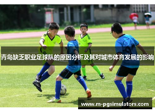 青岛缺乏职业足球队的原因分析及其对城市体育发展的影响 青岛缺乏职业足球队的原因分析及其对城市体育发展的影响