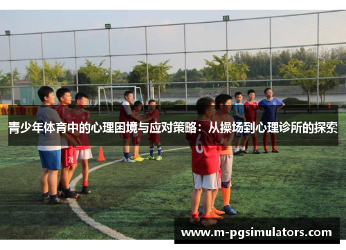 青少年体育中的心理困境与应对策略:从操场到心理诊所的探索 青少年体育中的心理困境与应对策略:从操场到心理诊所的探索