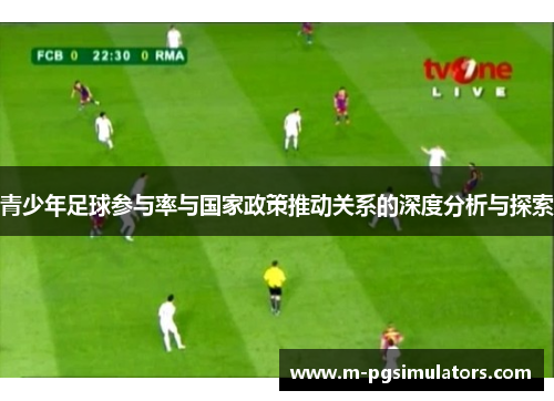 青少年足球参与率与国家政策推动关系的深度分析与探索