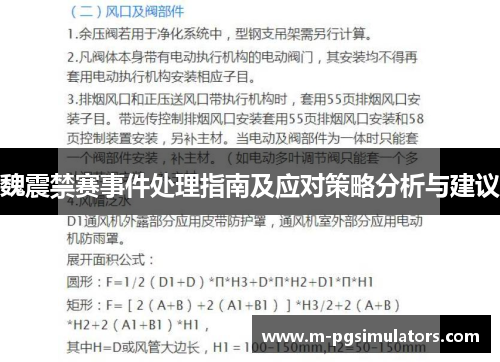 魏震禁赛事件处理指南及应对策略分析与建议