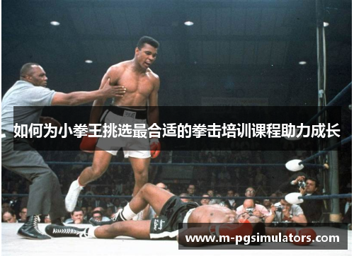 如何为小拳王挑选最合适的拳击培训课程助力成长 如何为小拳王挑选最合适的拳击培训课程助力成长