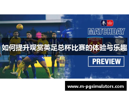 如何提升观赏英足总杯比赛的体验与乐趣
