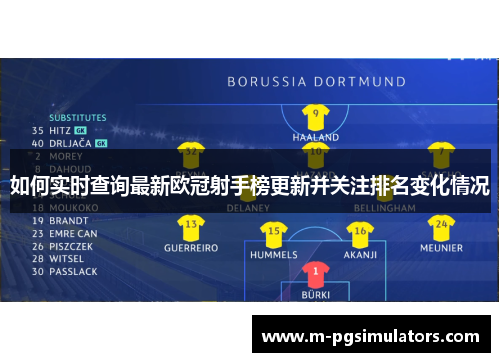 如何实时查询最新欧冠射手榜更新并关注排名变化情况