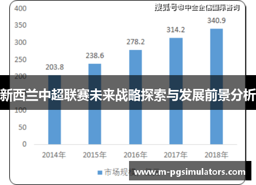 新西兰中超联赛未来战略探索与发展前景分析