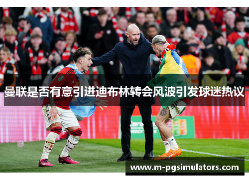 曼联是否有意引进迪布林转会风波引发球迷热议 曼联是否有意引进迪布林转会风波引发球迷热议