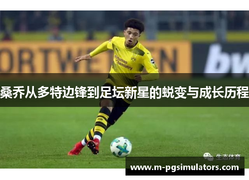 桑乔从多特边锋到足坛新星的蜕变与成长历程