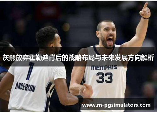灰熊放弃霍勒迪背后的战略布局与未来发展方向解析